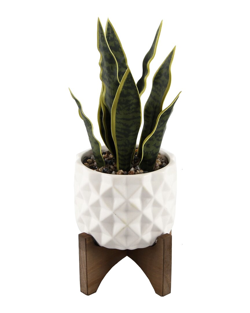 Flora Bunda 12.5in Snake Plant In Ceramic On Stand In White