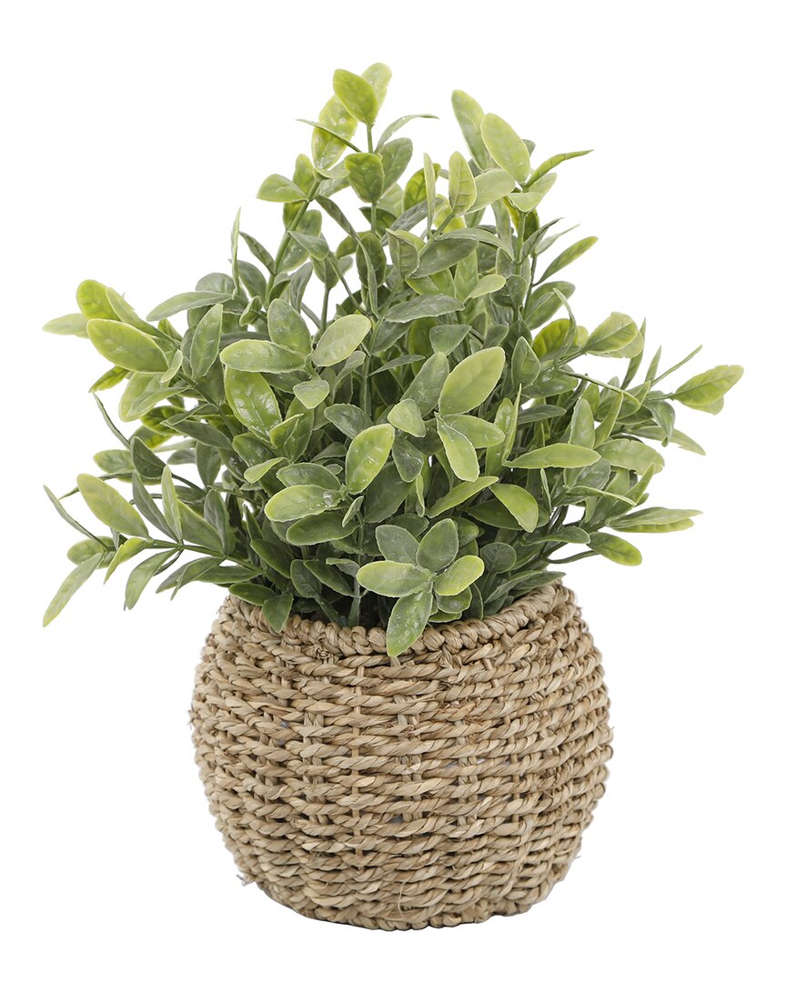 Flora Bunda Tea Leaf With Natural Basket In Brown