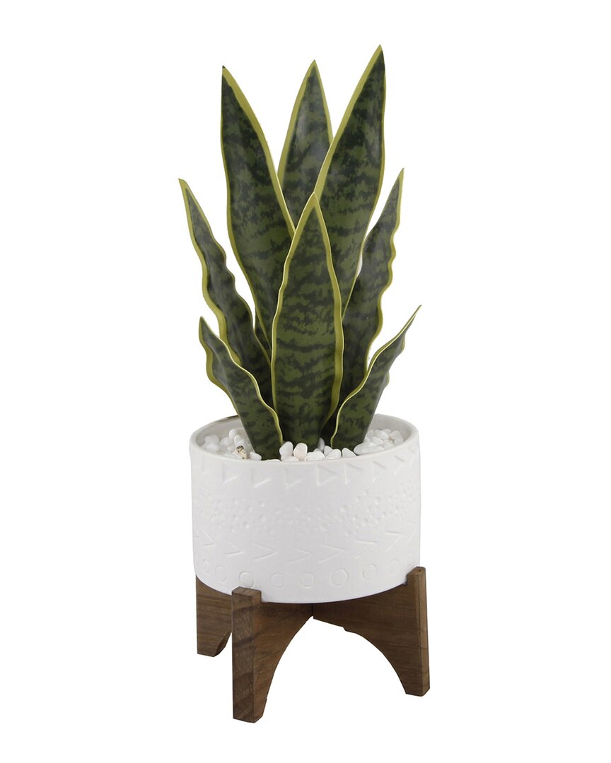 Flora Bunda 15.5inh Snake Plant In 5in Caveman Ceramic Planter Onstand In White