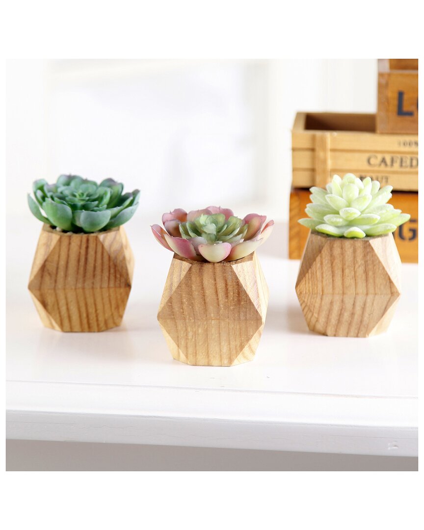 Flora Bunda Set Of 3 Faux Succulent In Wood Pot In Brown