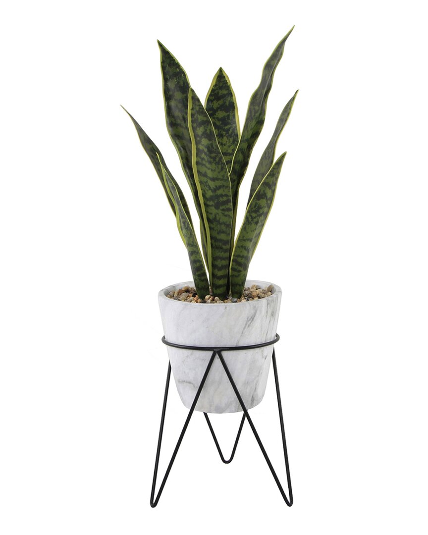 Flora Bunda 1.75ft Snake Plant In Marble Pot With Metal Stand In White