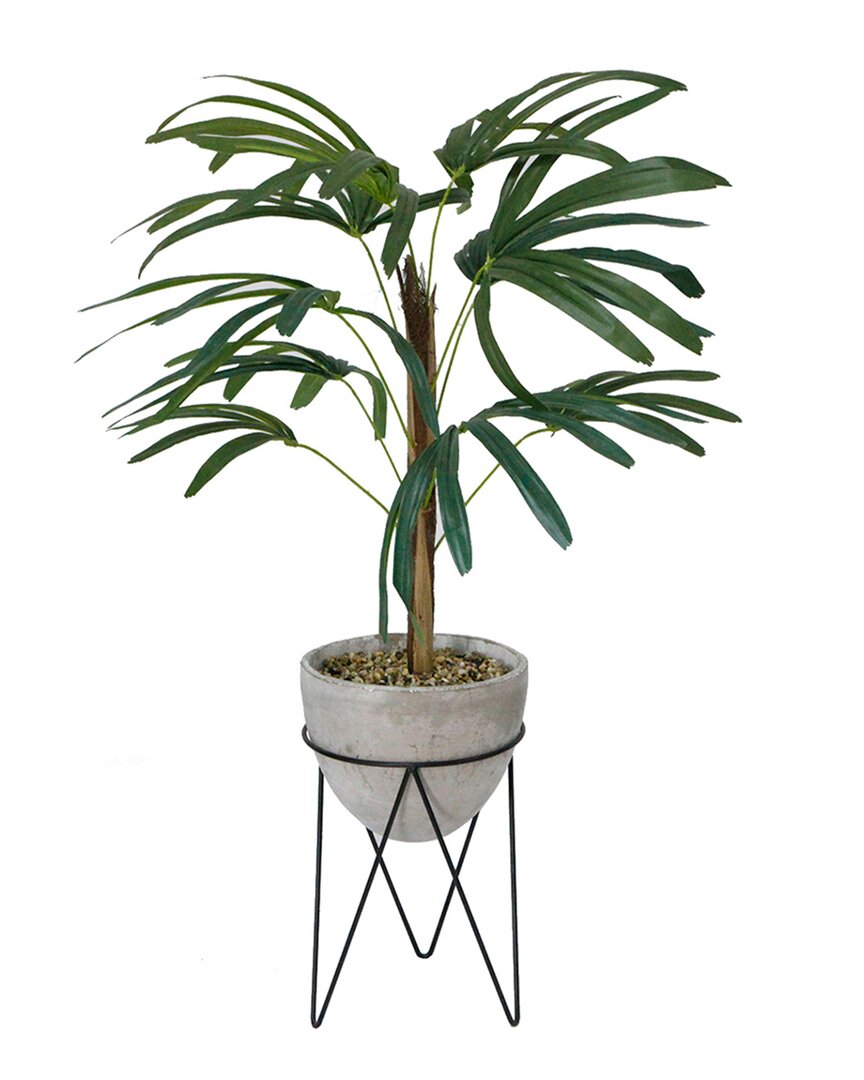 Flora Bunda 40in Switch Cane Palm In Cement Planter On Metal Stand In Grey