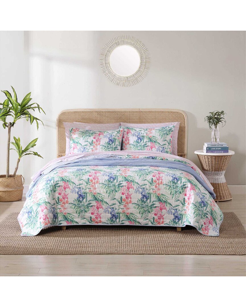 Shop Tommy Bahama 136 Thread Count Island Orchid Reversible Quilt Set