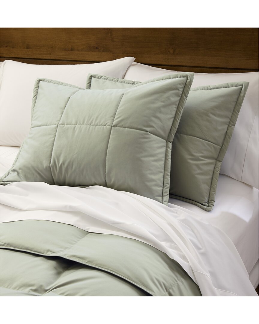 Cuddledown Chroma Quilted Sham - Standard In Green