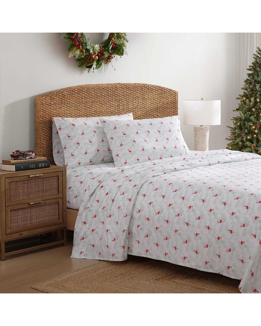 Tommy Bahama Flamingo Santa 100% Cotton Percale Sheet Set In White