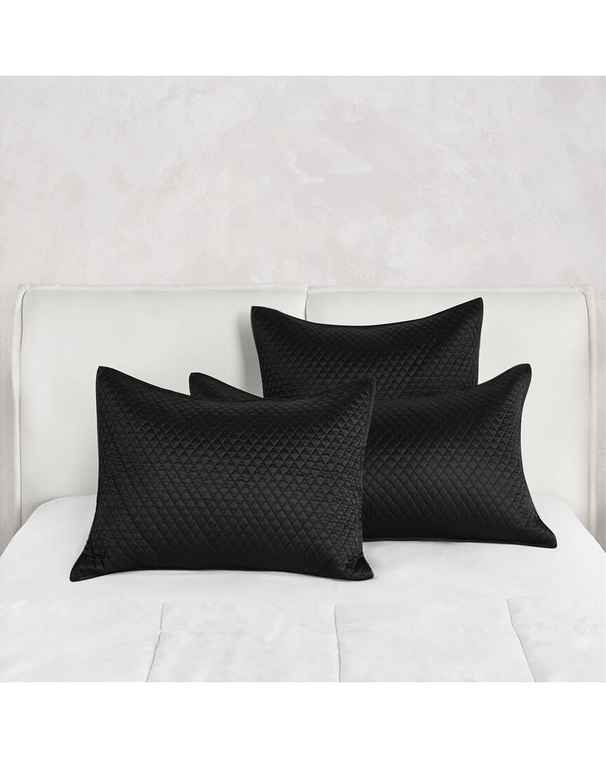 Villa By Classic Home Winthrop Sateen Sham In Black
