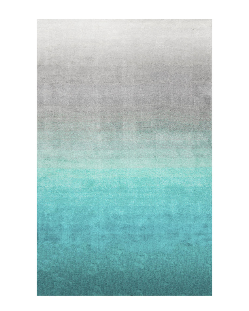 Nuloom Ombre Shag Hand-tufted Rug