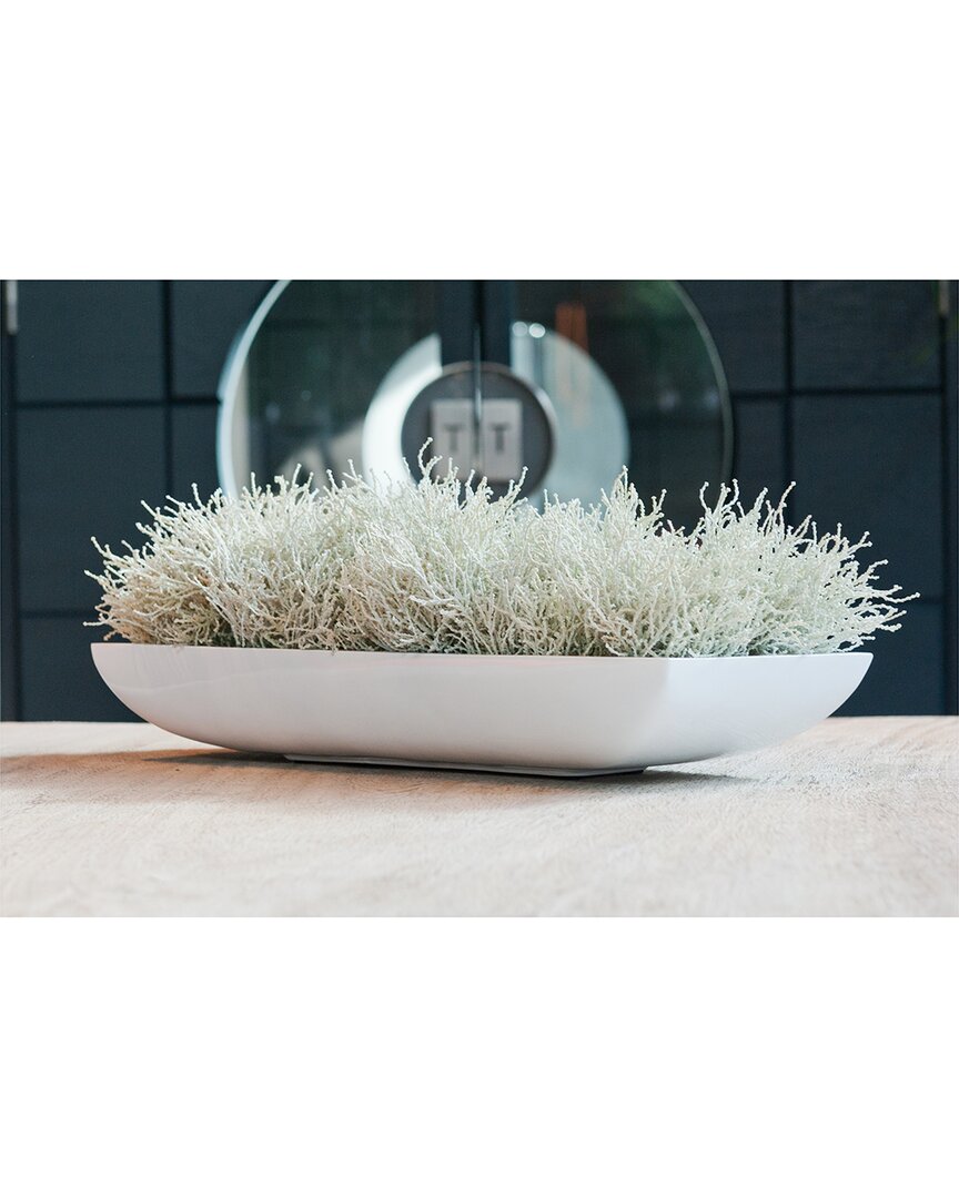 CREATIVE DISPLAYS CREATIVE DISPLAYS POTTERY POTS GLOSSY OBLONG WHITE FIBERSTONE PLANTER