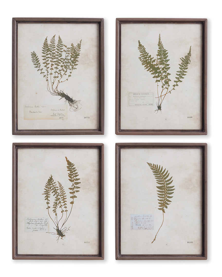 Napa Home & Garden Petite Frond Prints, Set Of 4