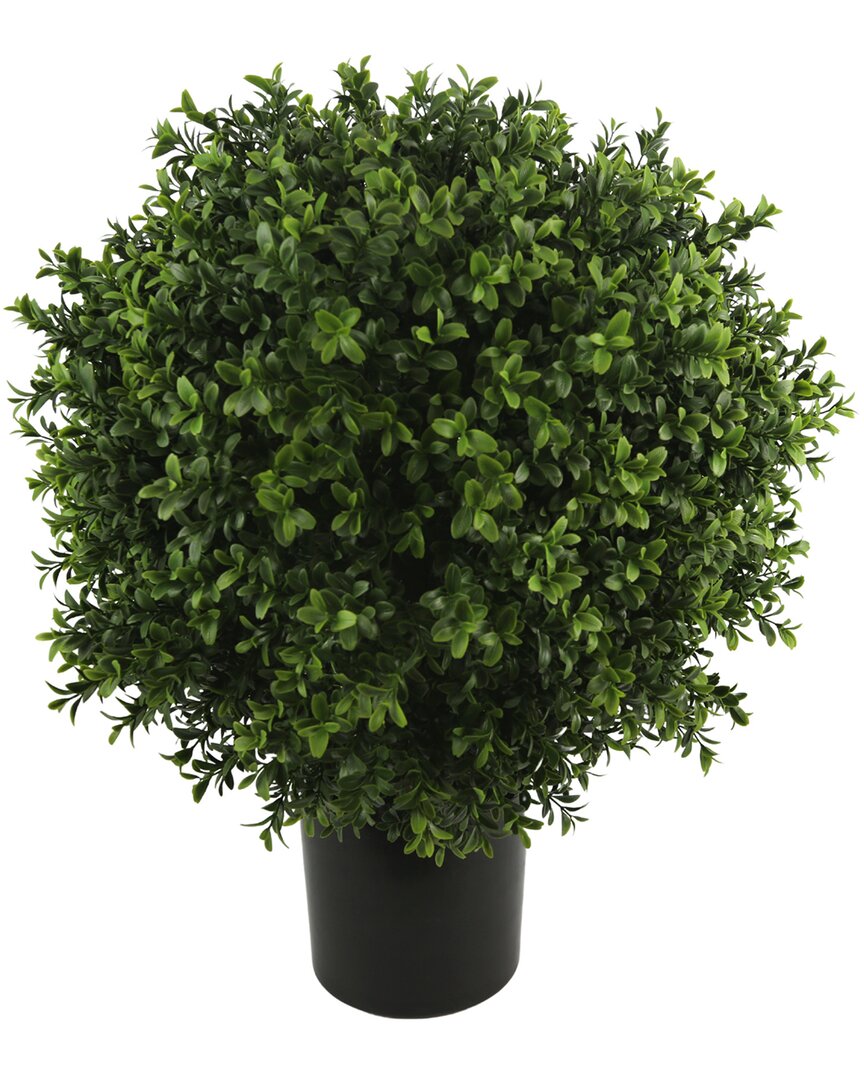 Shop Creative Displays 23.5in Boxwood Topiary In Green