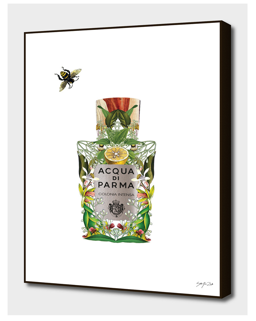 CURIOOS CURIOOS ACQUA DI PARMA - COLONIA INTENSA
