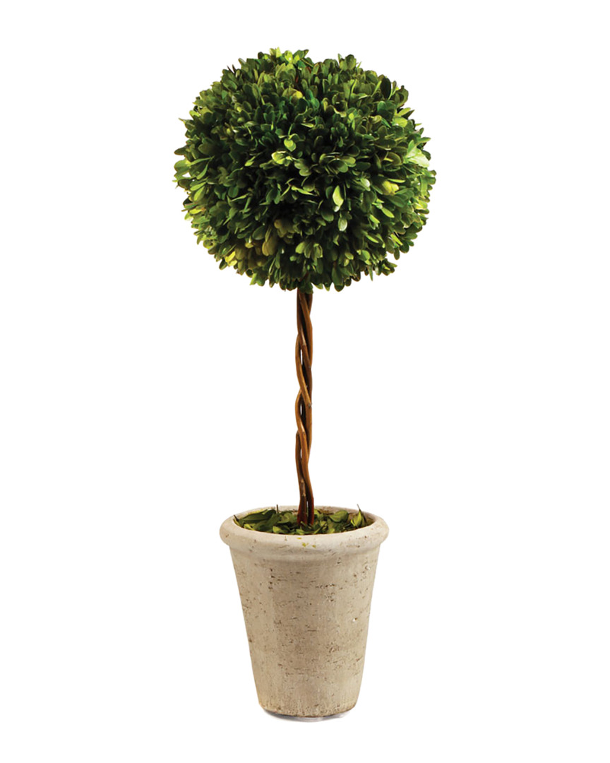 Napa Home & Garden 23.25in Single Ball Topiary