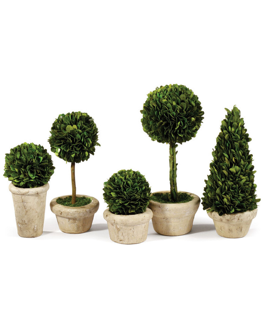 Napa Home & Garden Set Of 5 Topiaries Potted
