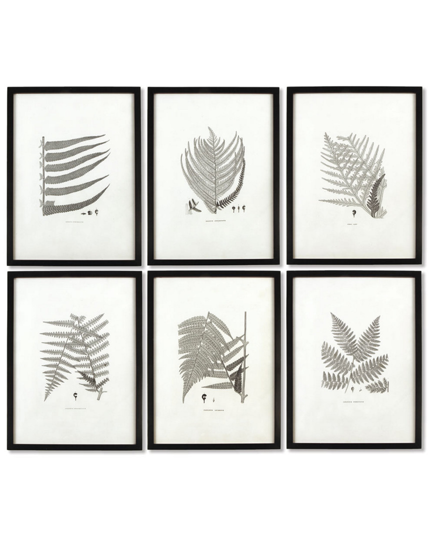 Napa Home & Garden Set Of 6 Framed Grey Toned Fern Prints