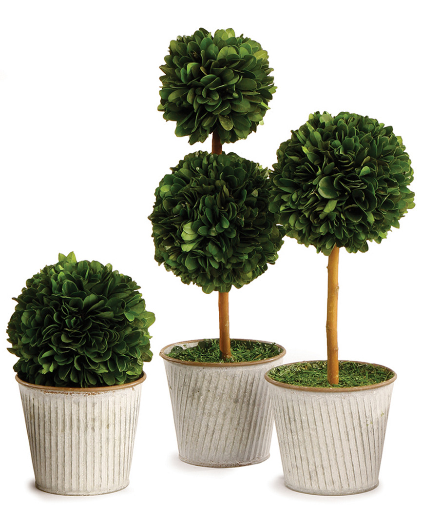 Image of Napa Home and Garden Set of  Pg Topiaries in Galv Pots