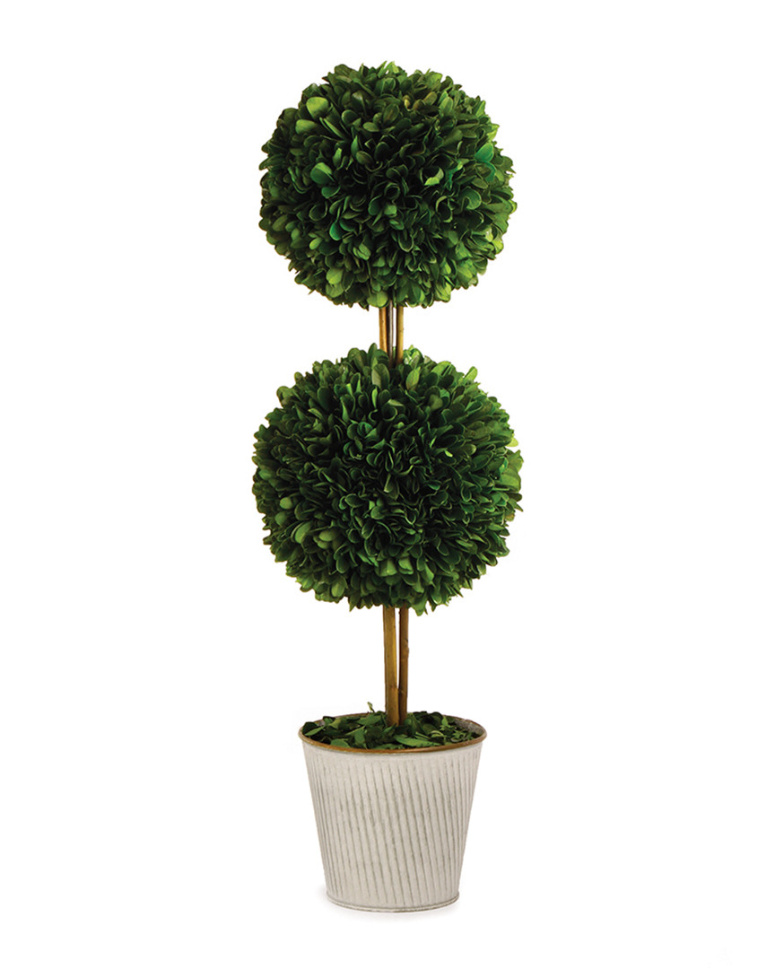 Image of Napa Home and Garden Pg in Dbl Ball Topiary in Galv Pot