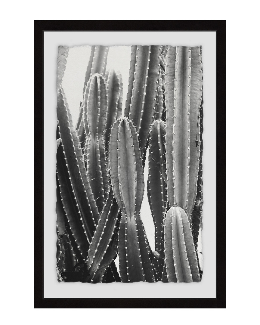 Marmont Hill Vintage Cactus