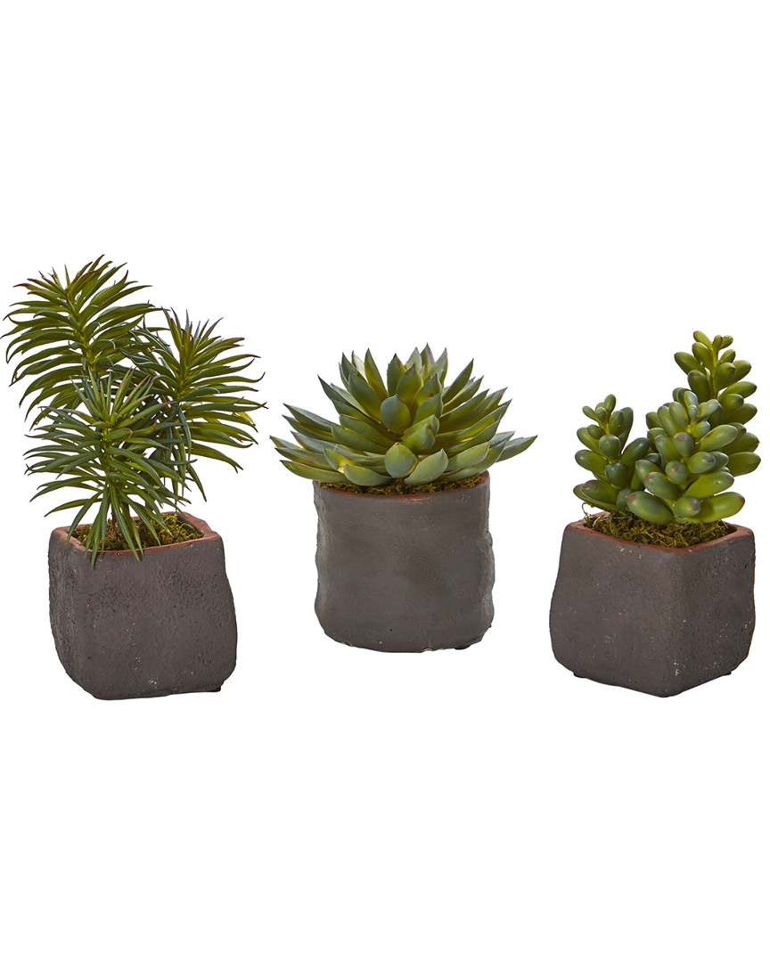 NEARLY NATURAL NEARLY NATURAL SET OF 3 MIXED SUCCULENT ARTIFICIAL PLANTS