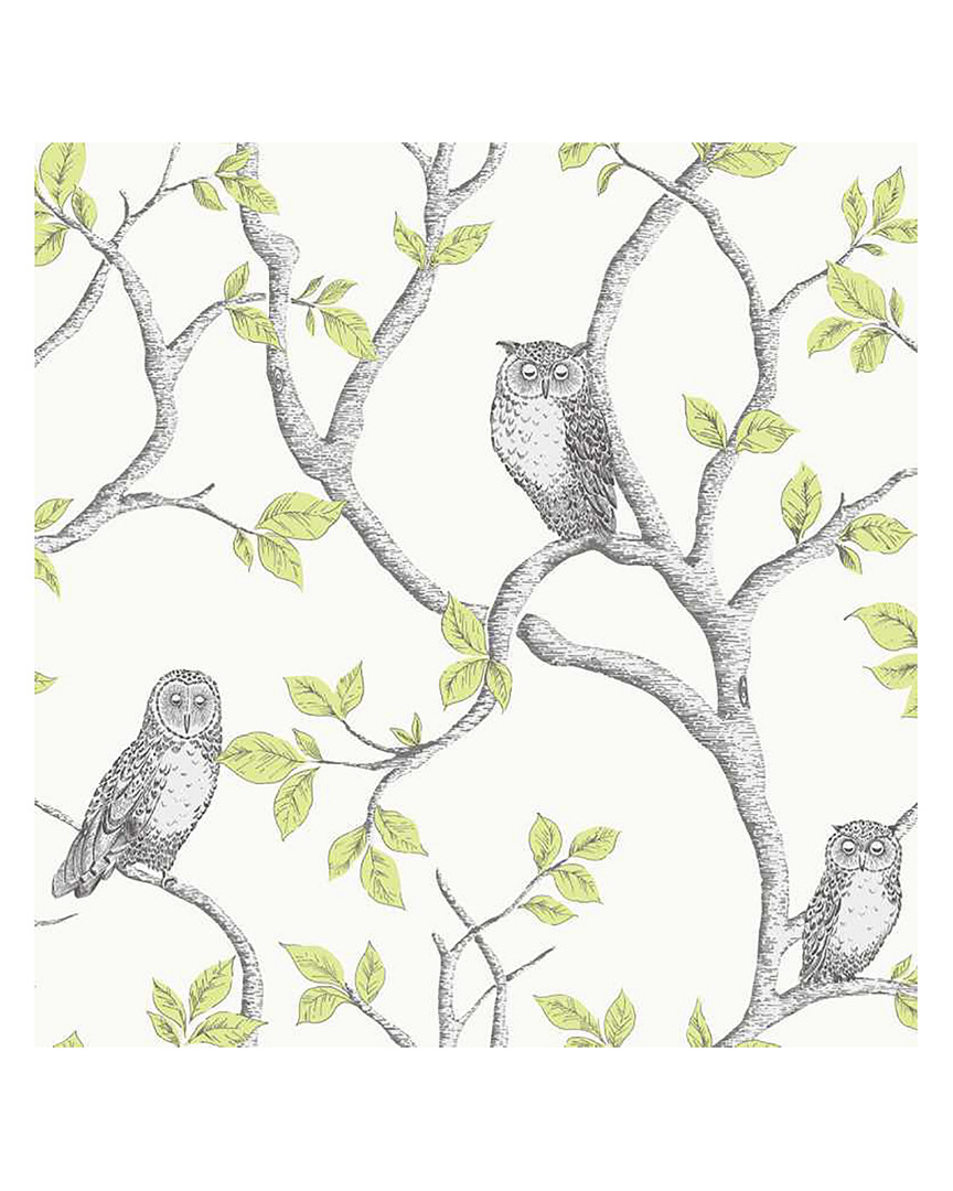 Fine Decor Linden Green Owl Wallpaper