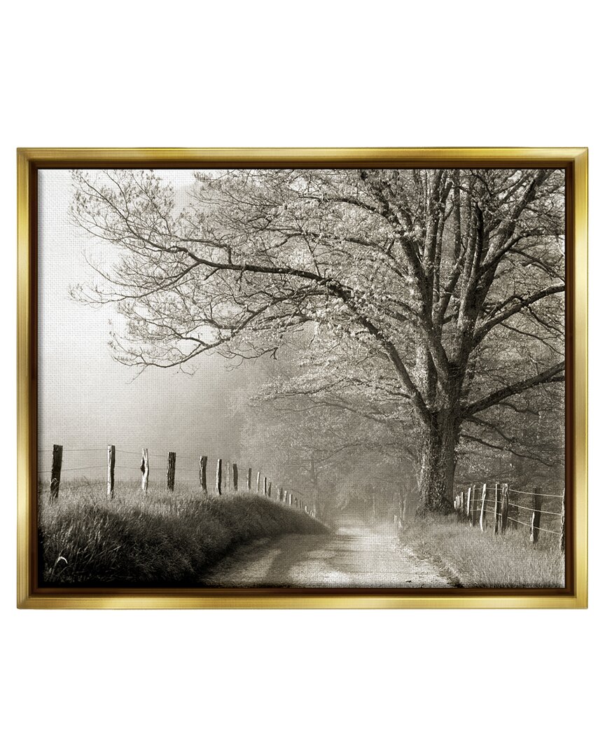 Stupell Rural Scenery Fenced Path Framed Floater Canvas Wall Art By Danita Delimont