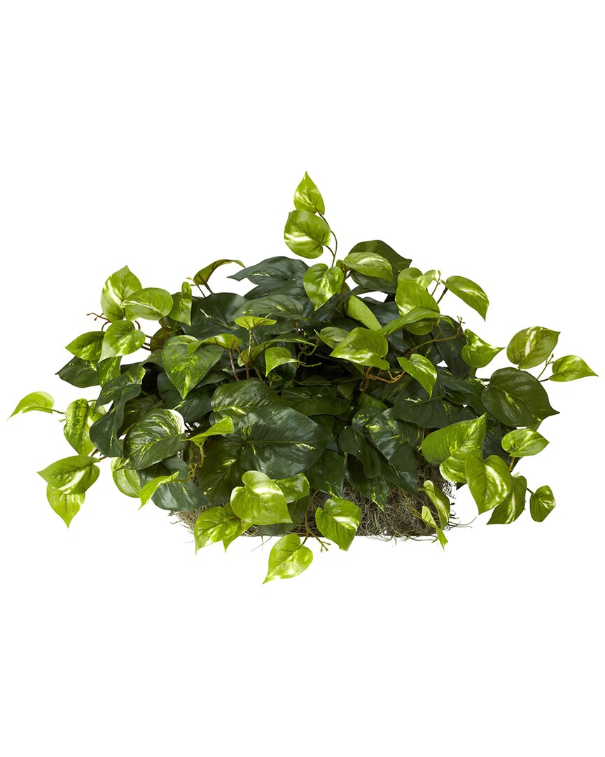 Nearly Natural Pothos Ledge Plant (set On Foam) Silk Plant In Green