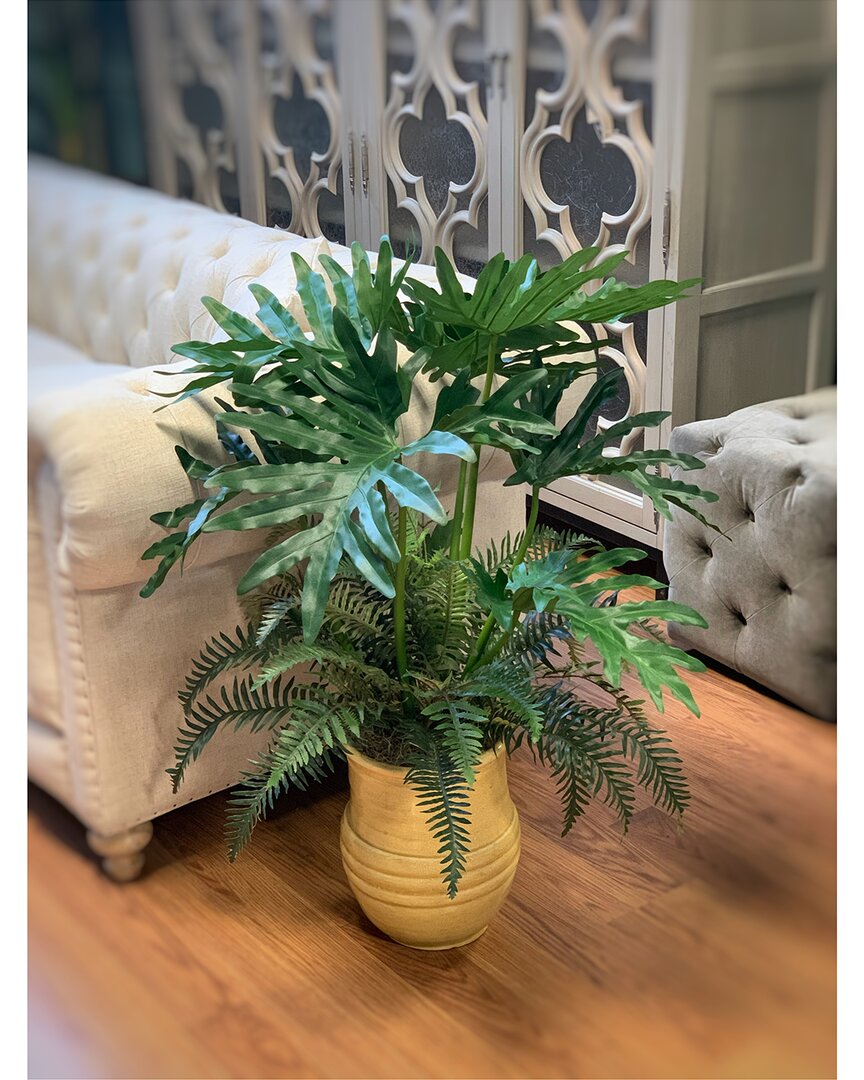 Creative Displays Fern And Selloum Philodendron Plant In A Yellow Ceramic Pot