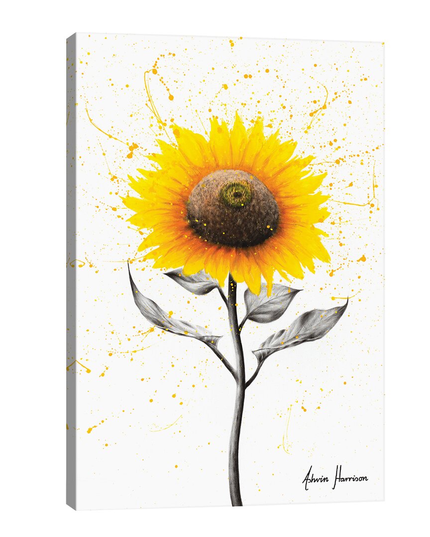 Icanvas Sunflower Celebration Wall Art By Ashvin Harrison