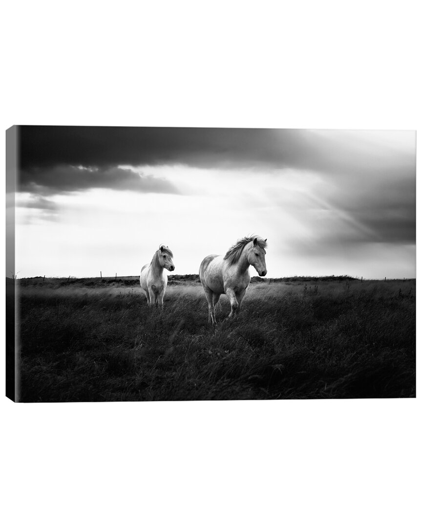 Icanvas Bright Beauty-b&w By Andreas Stridsberg Wall Art