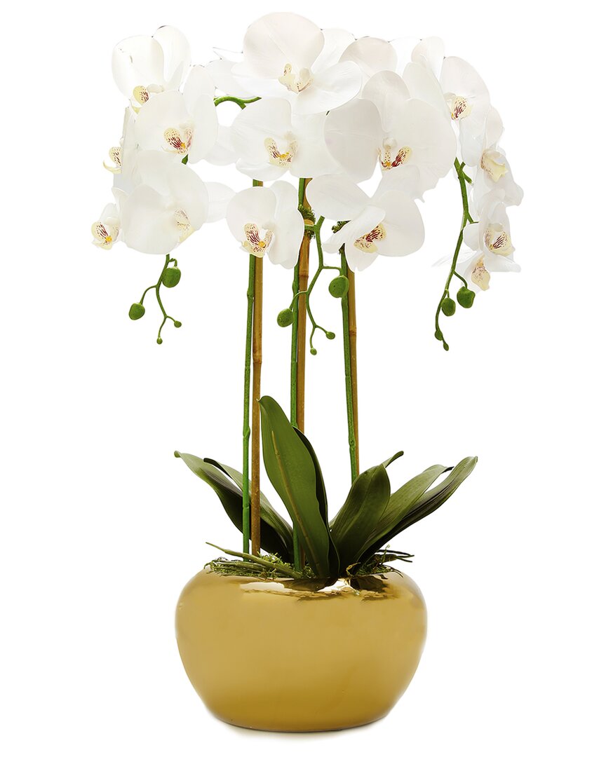 Vivience 3 Branched White Orchid Plant In Gold Glossy Pot