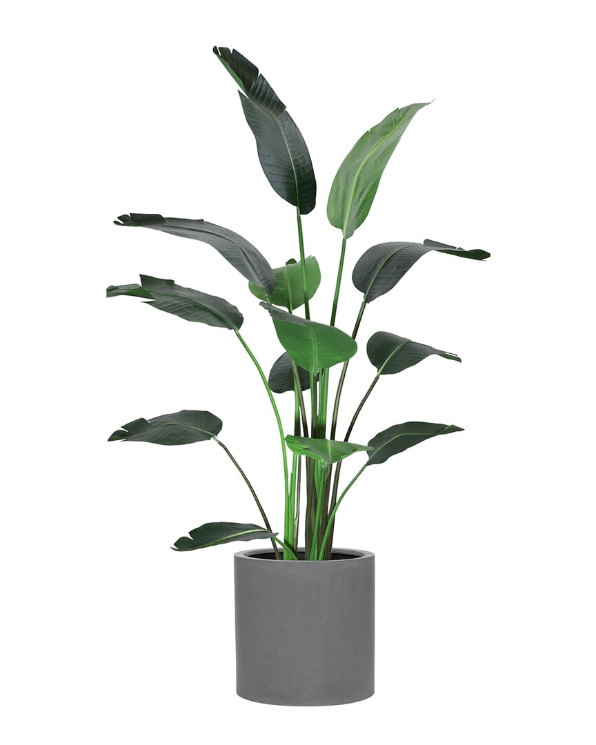 CREATIVE DISPLAYS CREATIVE DISPLAYS 6FT BIRD OF PARADISE TREE WITH FIBERSTONE PLANTER 