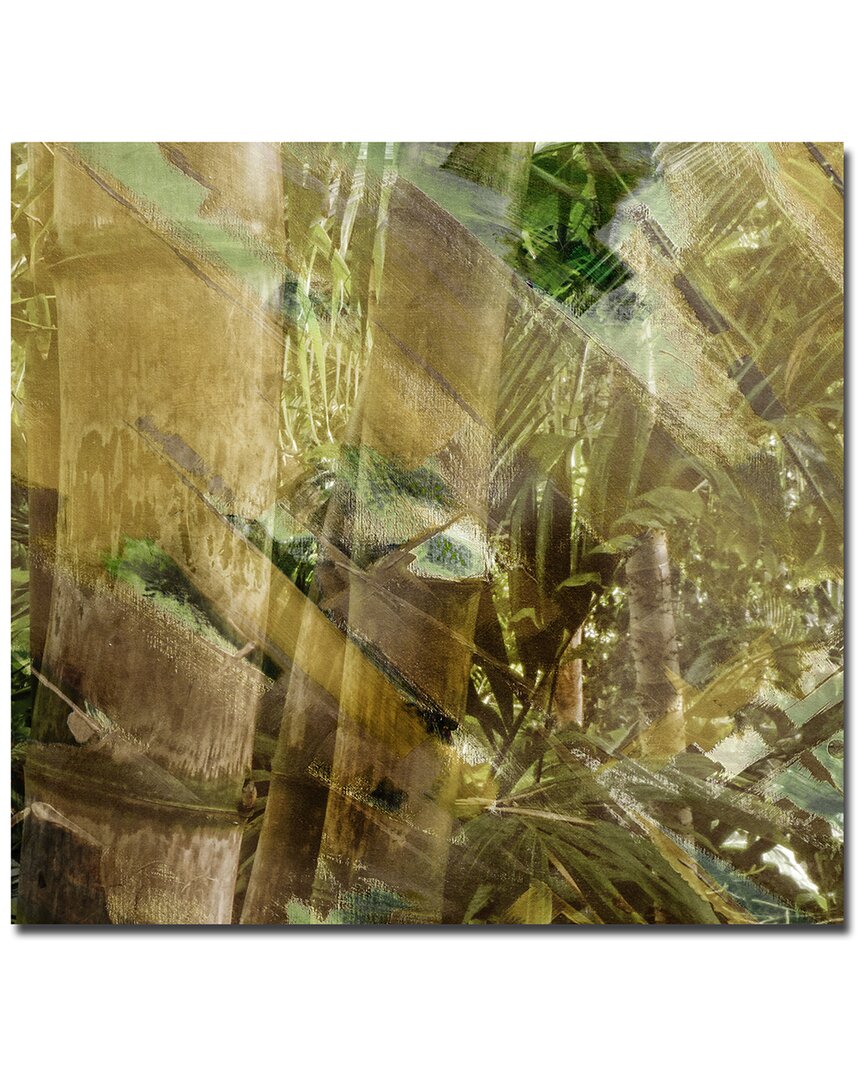 Ready2hangart Abstract Bamboo Ii Wrapped Canvas Wall Art
