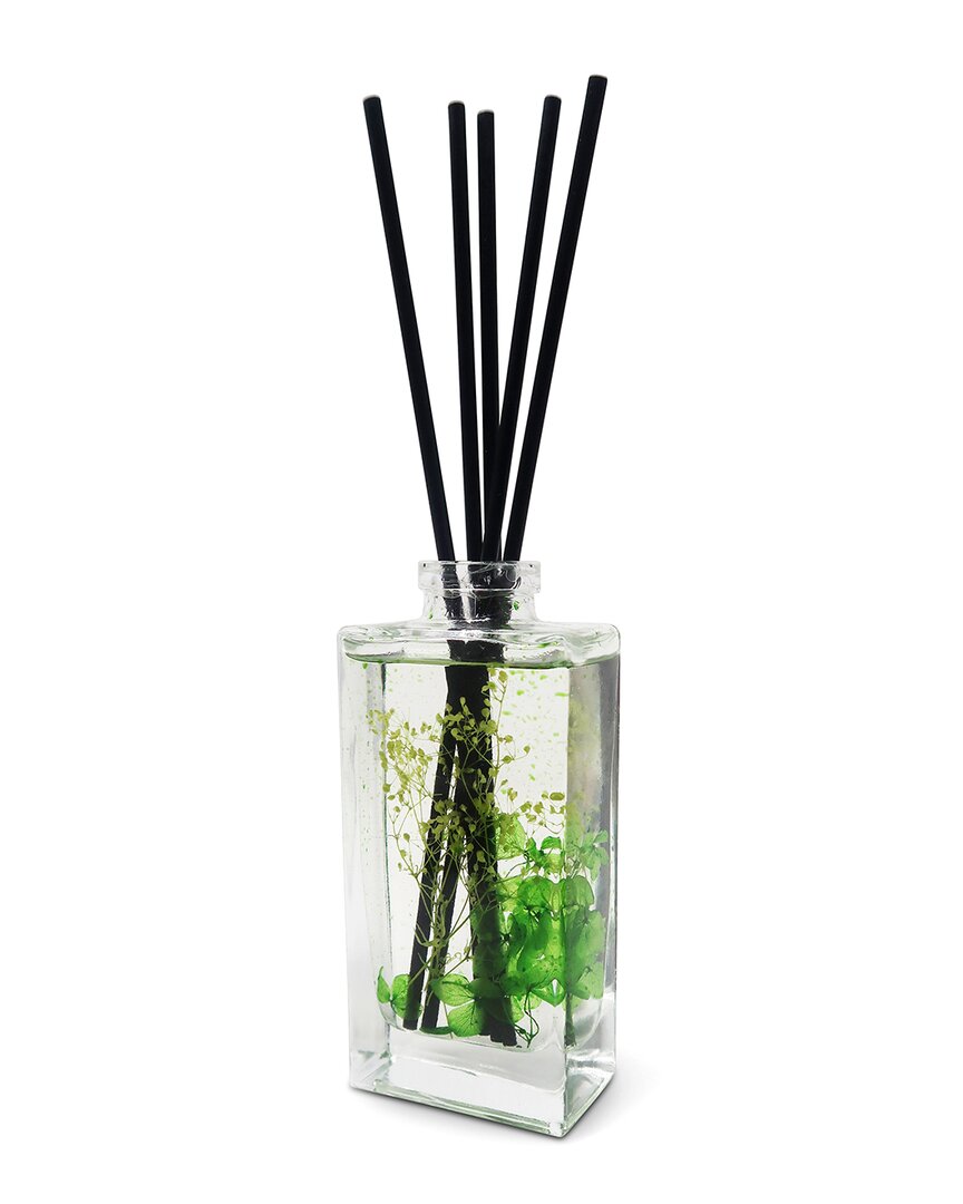 Vivience Pink Preserved Flower Reed Diffuser In Green