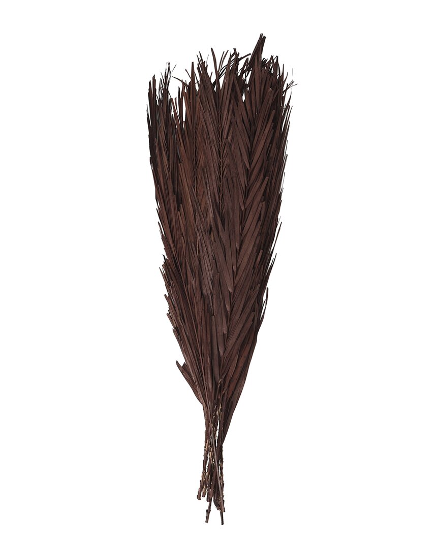 Peyton Lane Palm Leaf Dark Brown Dried Plant Natural Foliage In Brown