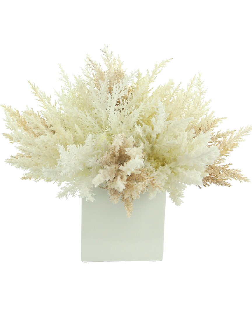 Creative Displays Cream Pampas In Fiberstone Pot Floral Arrangement In White