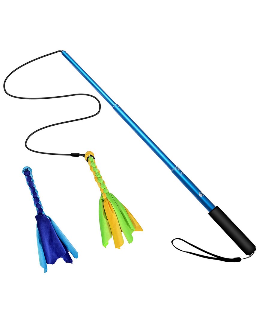 Fresh Fab Finds Extendable Dog Flirt Pole