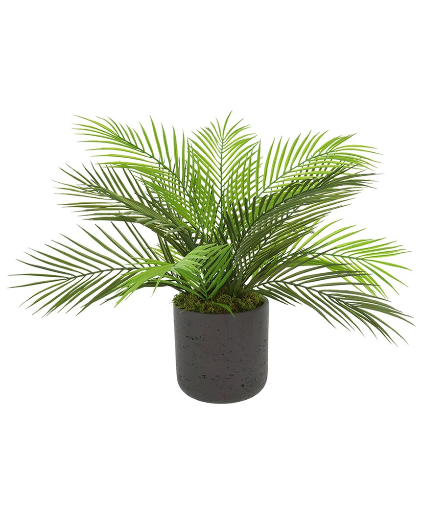 Creative Displays Uv-rated Outdoor Palm In Fiberstone Pot In Gray