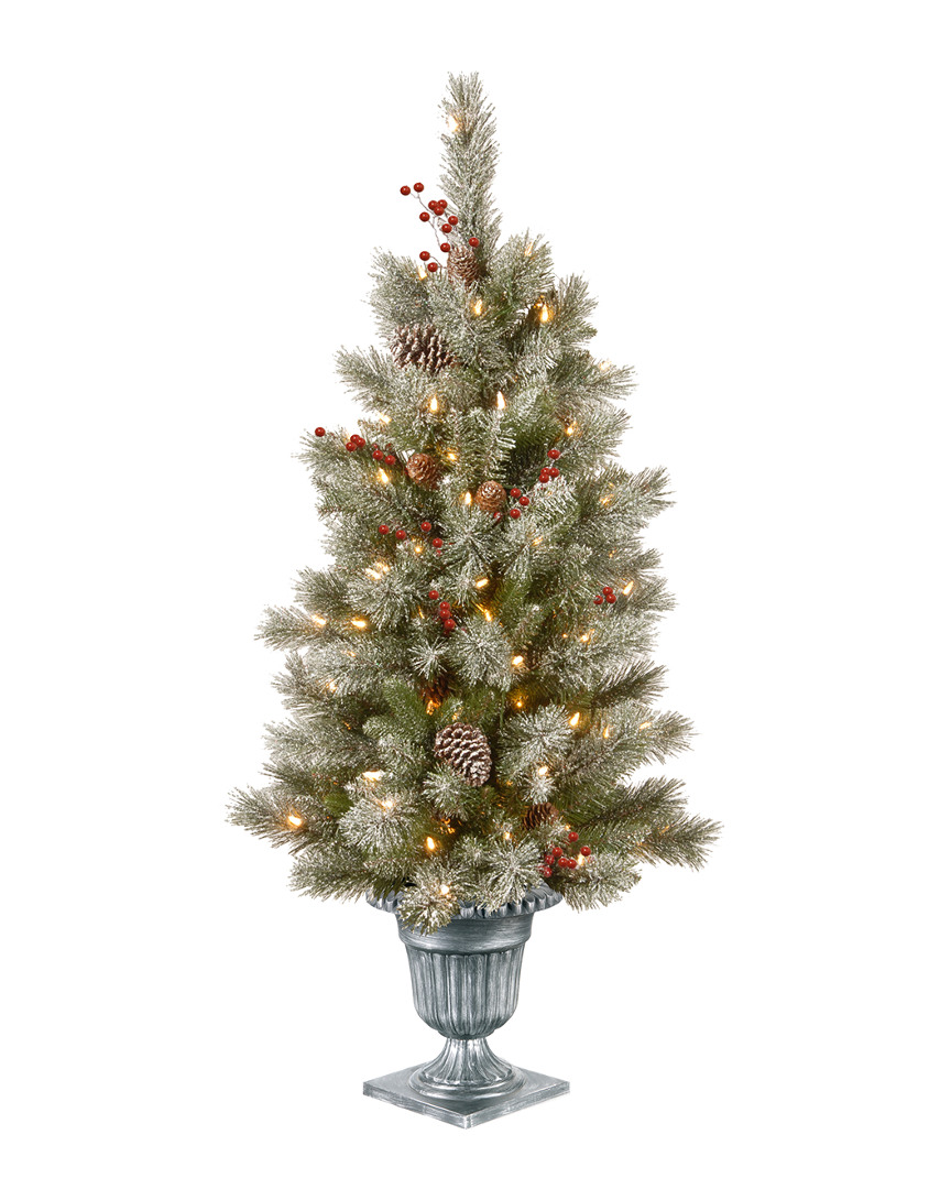 National Tree Company 4' Feel Real Snowy Bristle Berry Entrance Tree