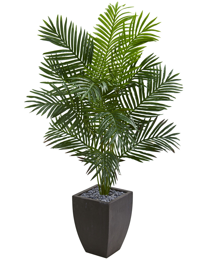 NEARLY NATURAL NEARLY NATURAL 5.5FT PARADISE ARTIFICIAL PALM TREE IN BLACK PLANTER