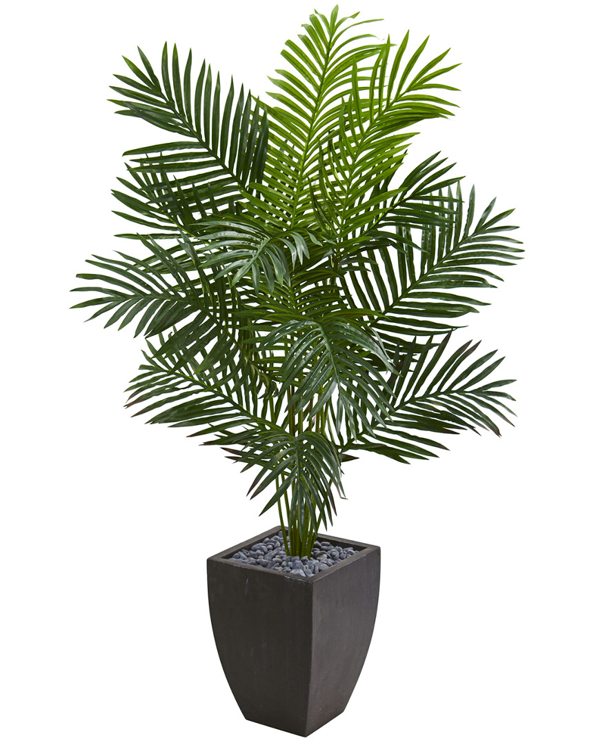 Shop Nearly Natural 5.5ft Paradise Artificial Palm Tree In Black Planter