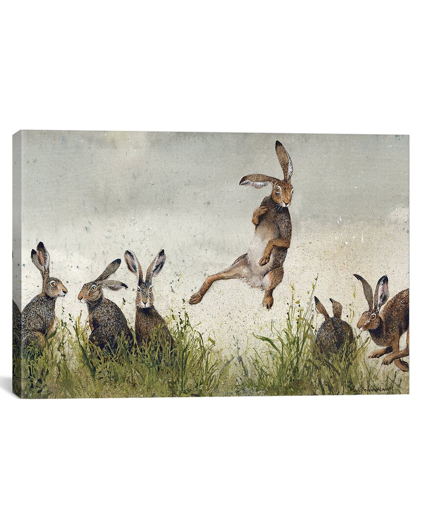 Icanvas Hijinx Canvas Artwork By Maggie Vandewalle
