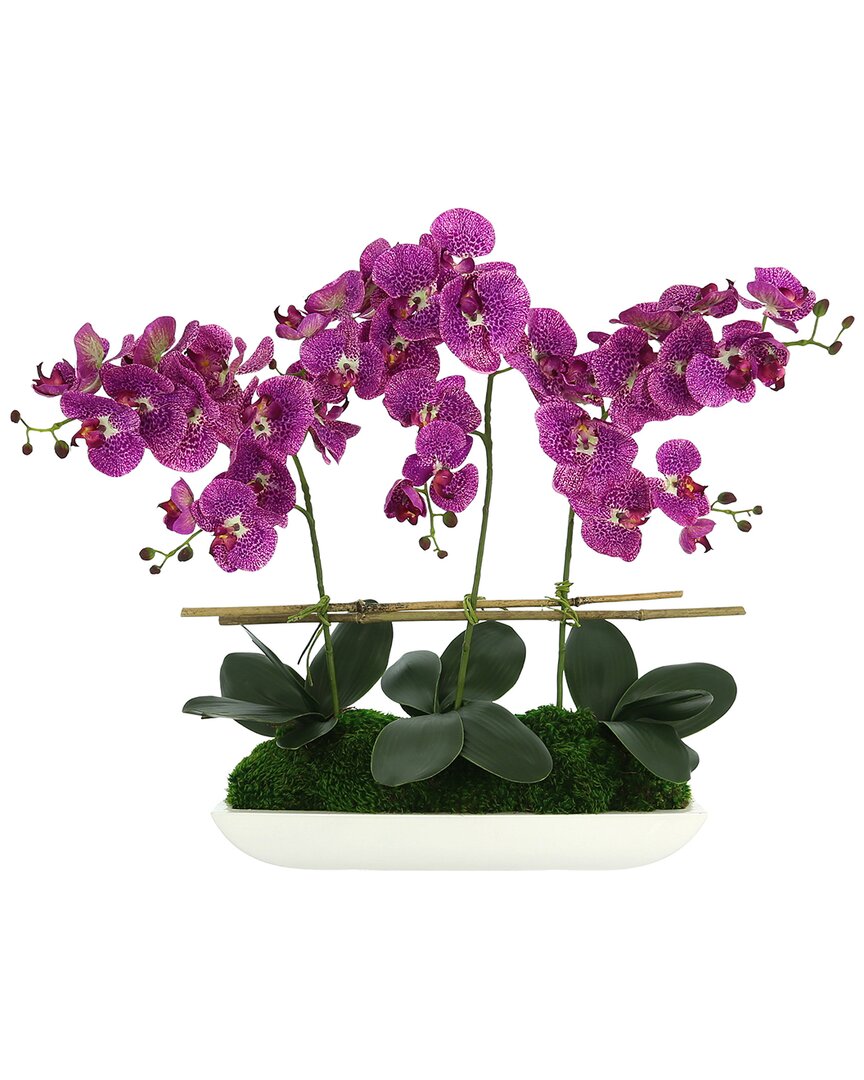 Creative Displays Orchid Centerpiece In Fiberstone Planter In Purple