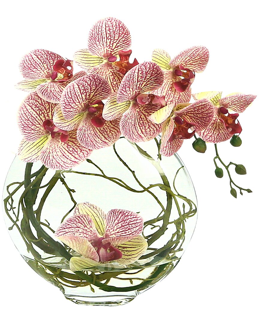 Creative Displays Orchid Floral In Glass Vase With Vines In Pink