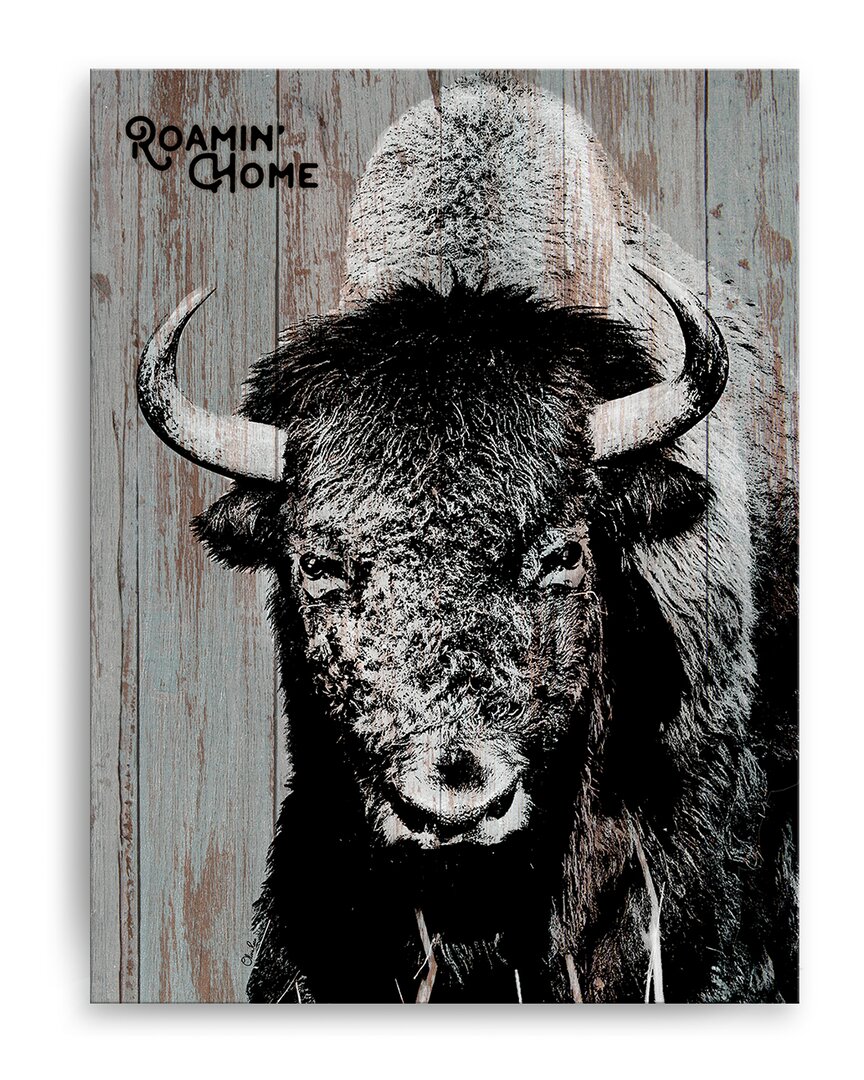 Ready2hangart Bison Wrapped Canvas Wall Art By Olivia Rose