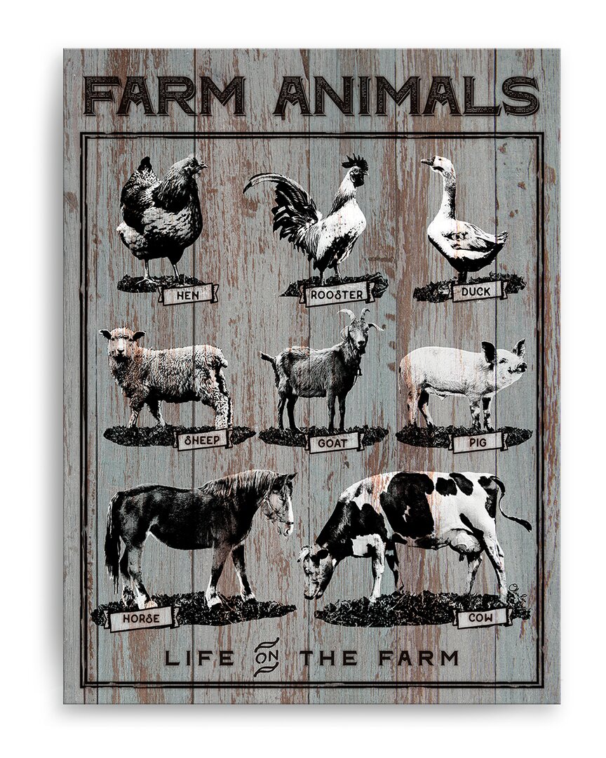 Ready2hangart Farm Animals Wrapped Canvas Wall Art By Olivia Rose