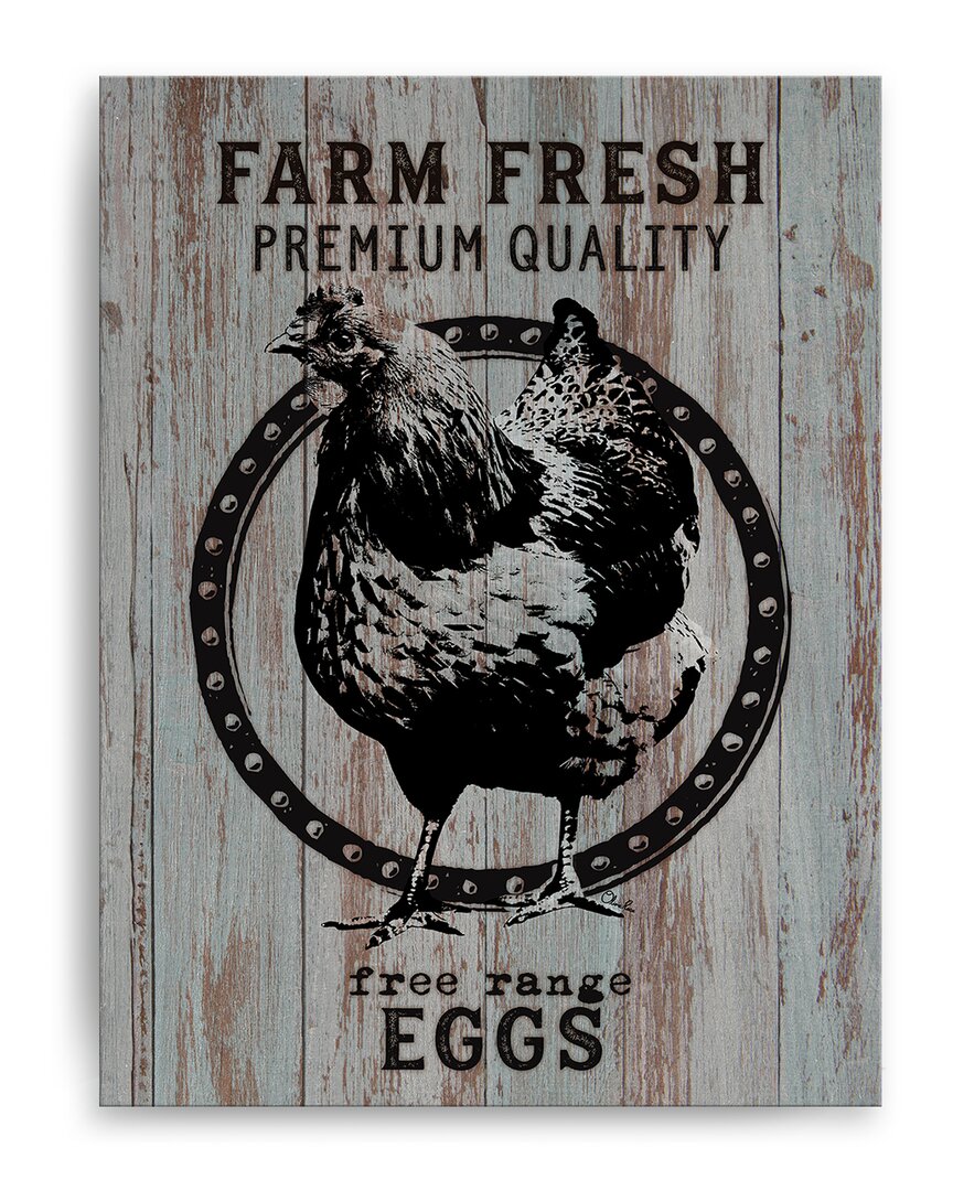 Ready2hangart Farm Fresh Eggs Wrapped Canvas Wall Art By Olivia Rose