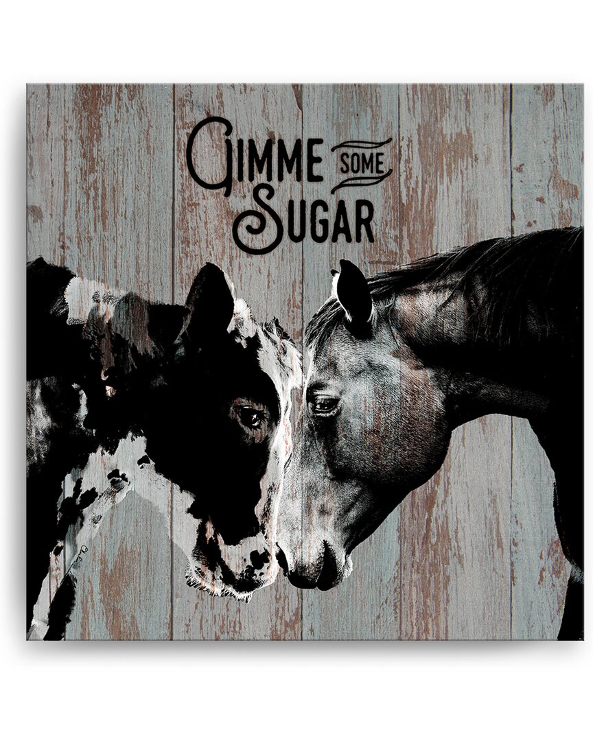 Ready2hangart Sweet Cow & Horse Wrapped Canvas Wall Art By Olivia Rose