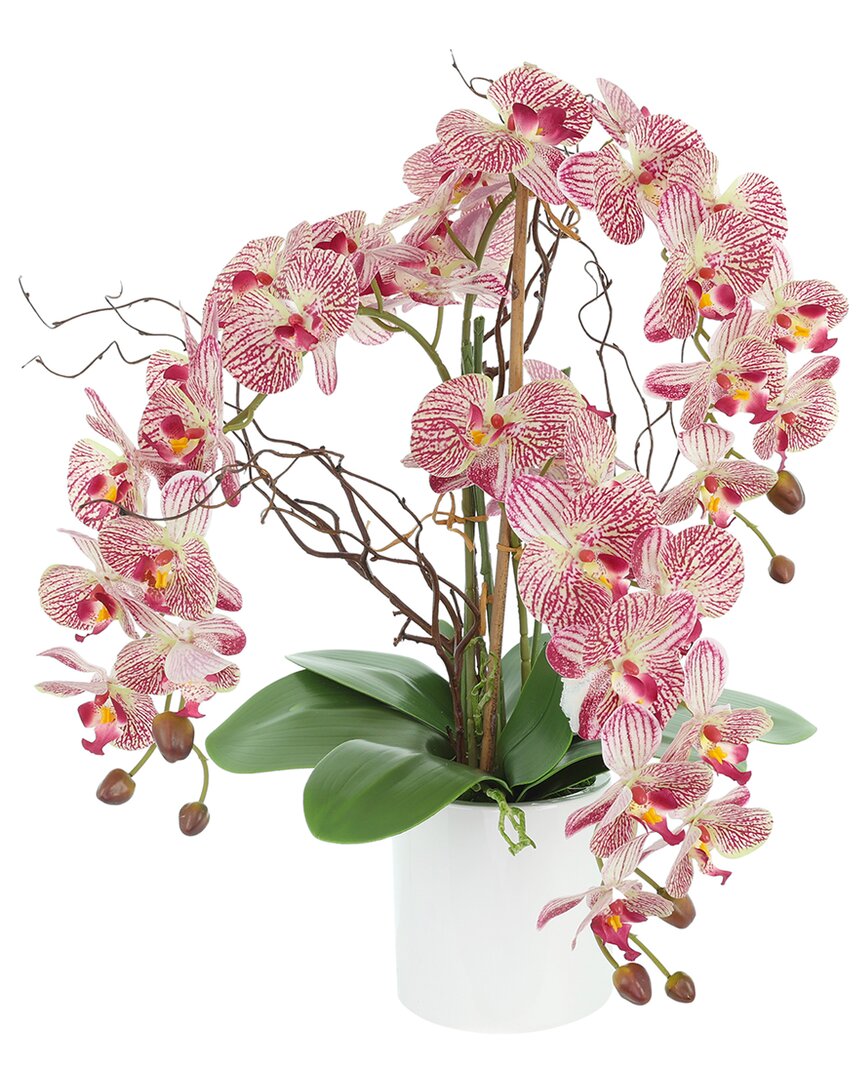 Creative Displays Modern Pink Orchid Arrangement In Round Fiberstone Pot In Pink