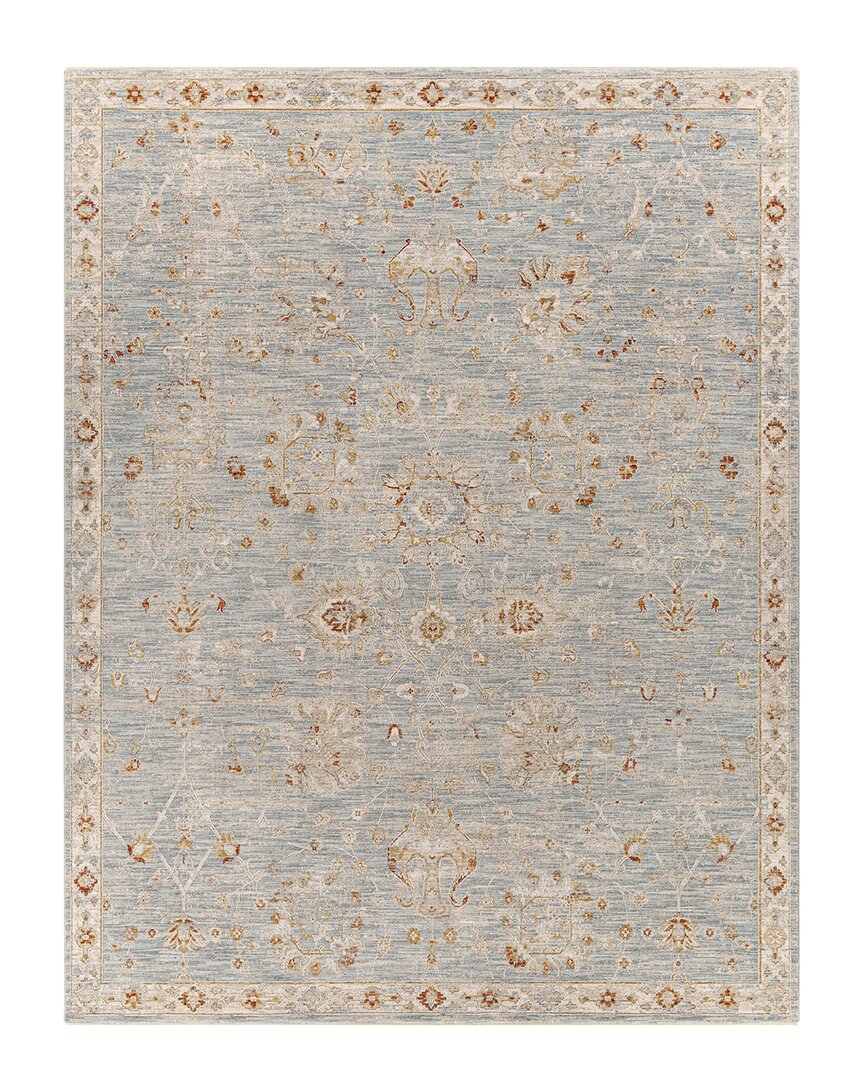 Surya Avant Garde Rug In Denim