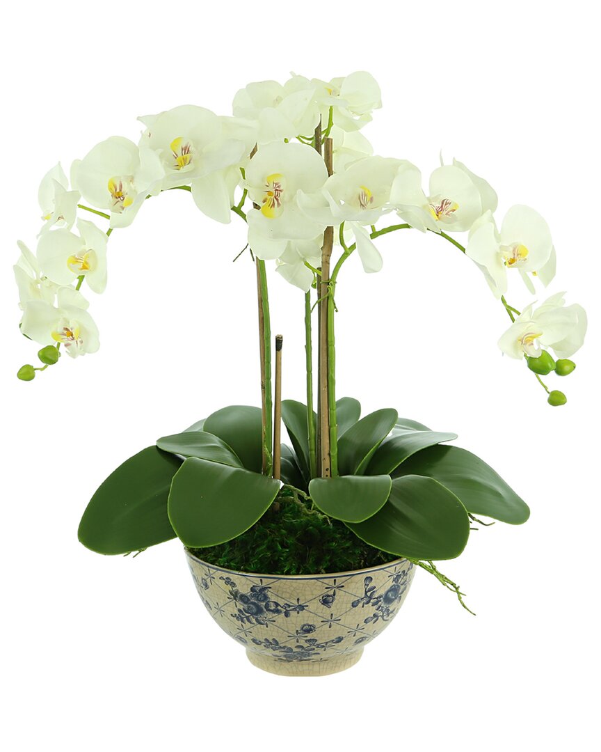 Creative Displays White Orchid Arrangement In A Round Planter