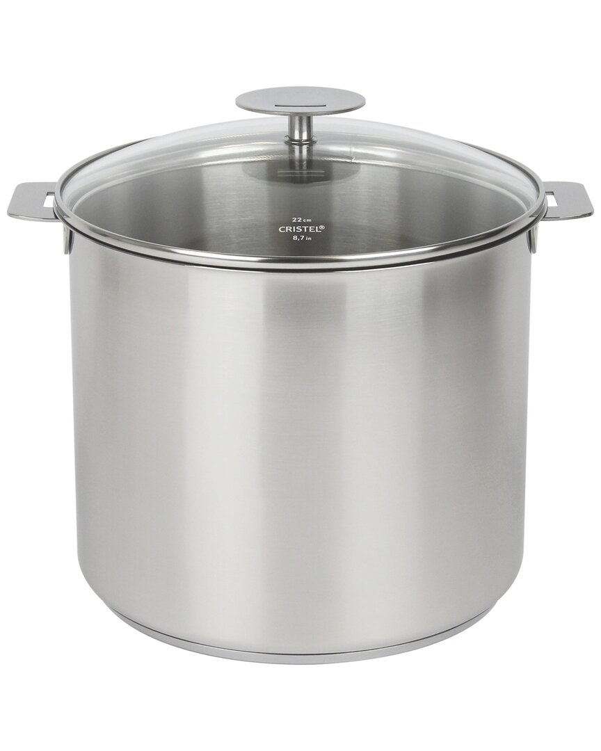 Cristel Mutine Satin 7.5qt Stockpot With Lid And Removable Handlel In Silver